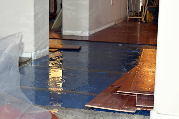 Professional Burst Pipe Cleanup technician working in Norton, KS